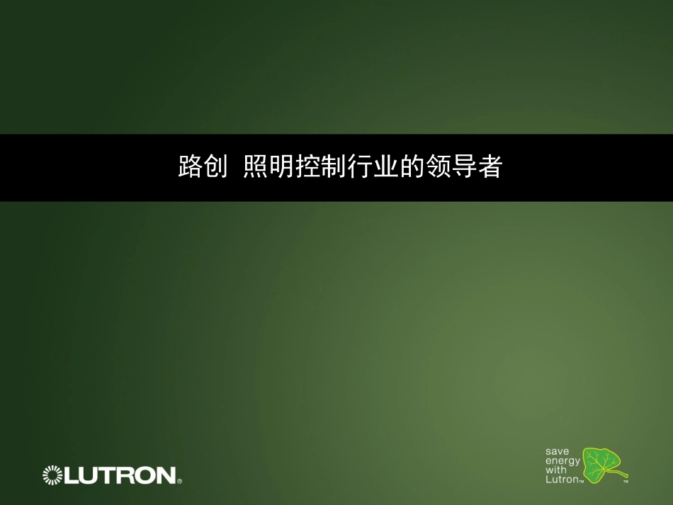 LUTRON照明控制系统A_第1页