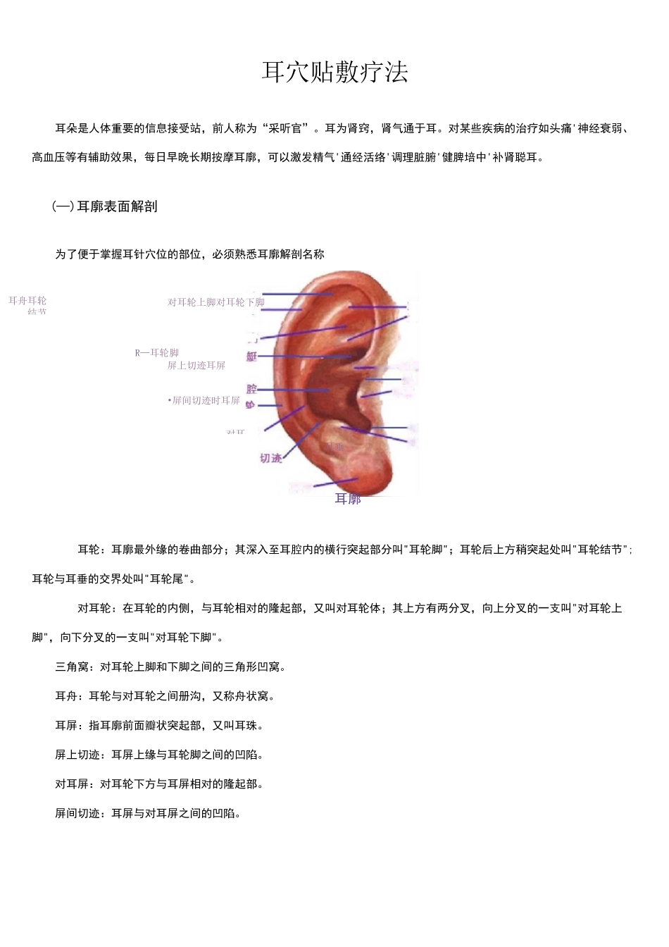 耳穴贴敷疗法_第1页
