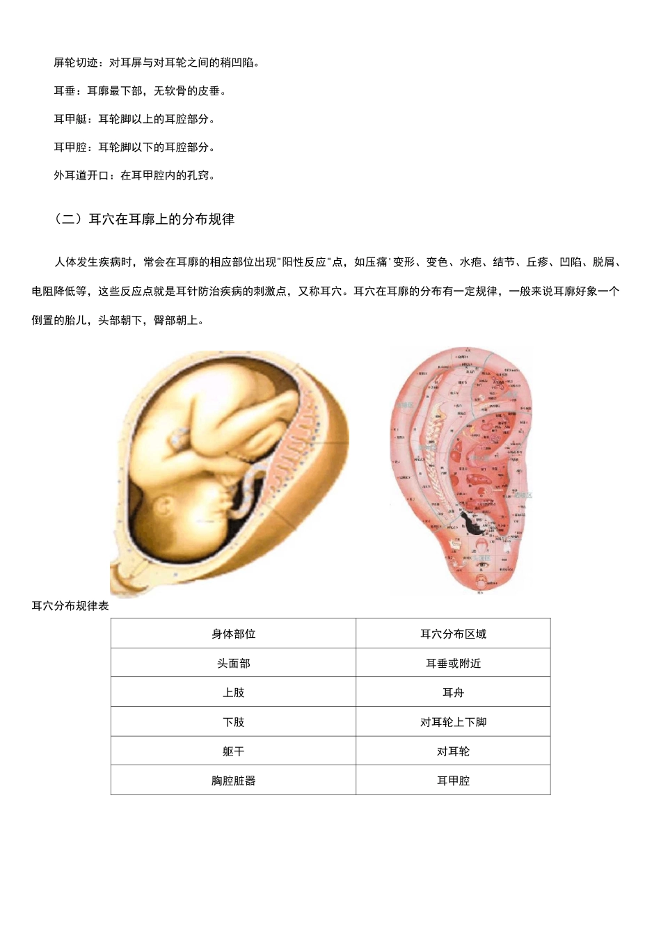 耳穴贴敷疗法_第2页