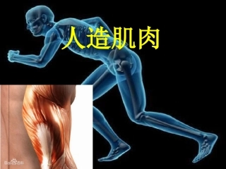 材料仿生之人造肌肉
