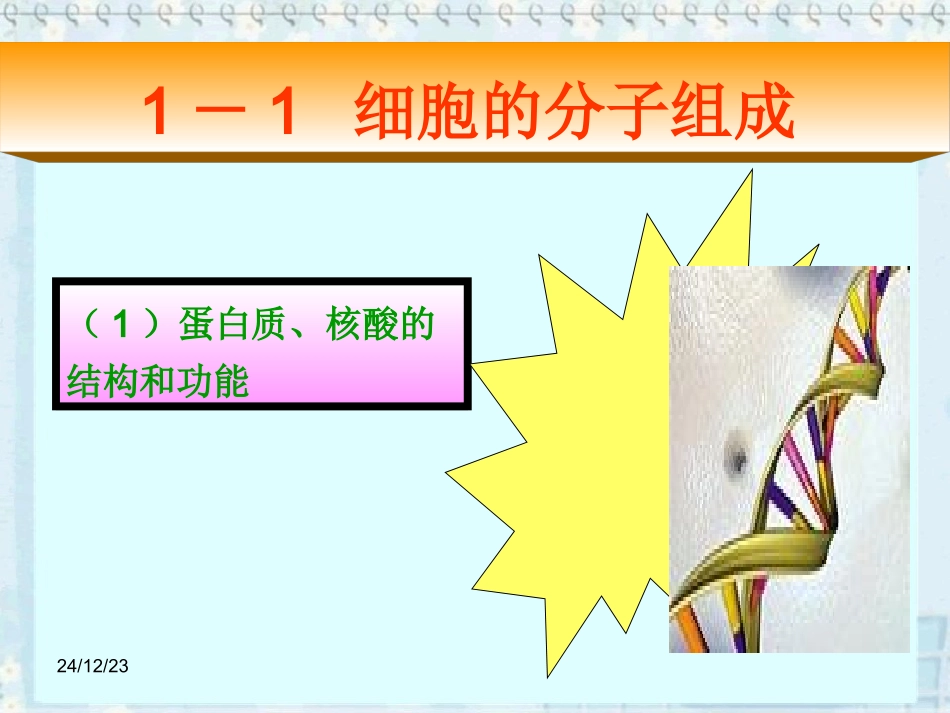 蛋白质、核酸的结构和功能_第1页