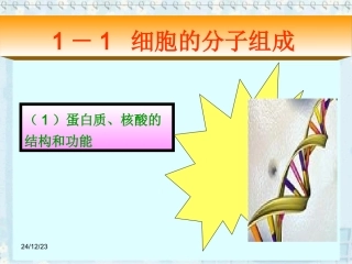 蛋白质、核酸的结构和功能