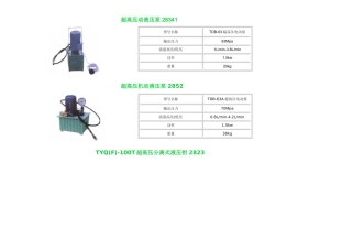 超高压动液压泵 28341