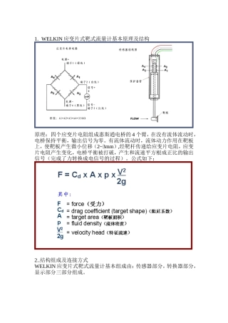 WELKIN靶式流量计