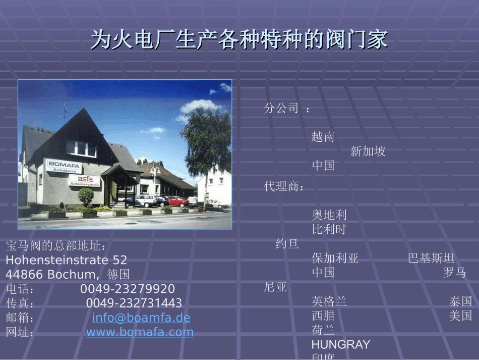 BOMAFA公司演示-闸阀_第2页