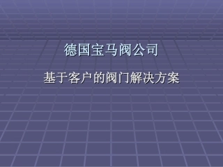 BOMAFA公司演示-闸阀
