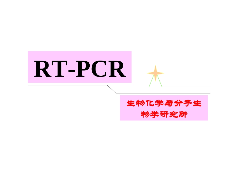 RT-PCR课件_第1页