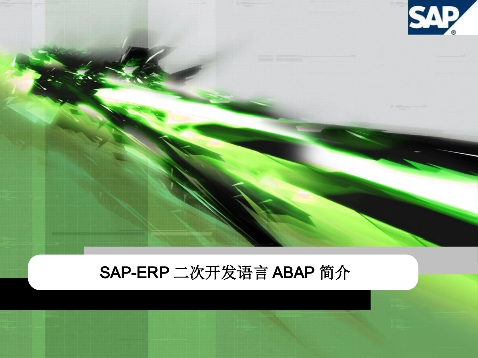 SAP-ERP二次开发语言ABAP简介_第1页