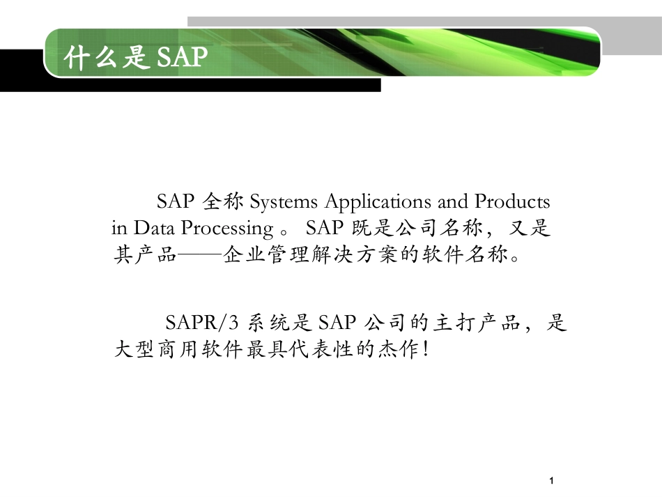 SAP-ERP二次开发语言ABAP简介_第2页