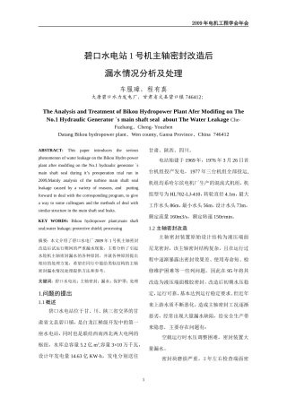 碧口电站主密改造