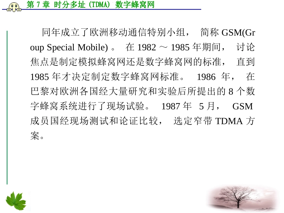 第7章 时分多址(TDMA)数字蜂窝网_第3页