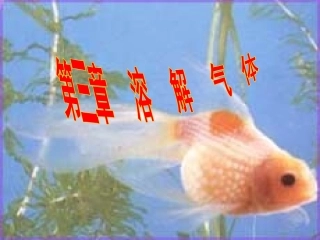 第3章 溶解氧