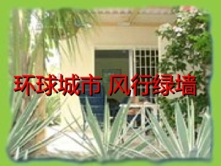 《环球城市_风行绿墙》用