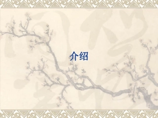 带锁定头螺钉系统
