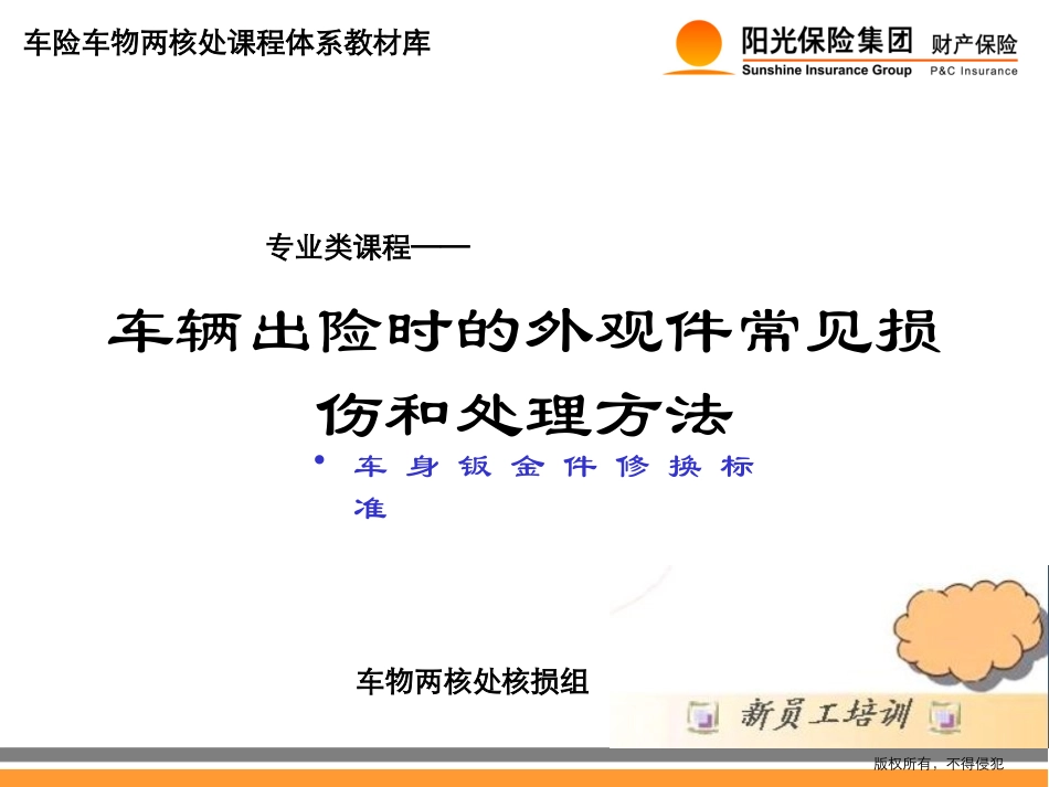 车身钣金件修换标_第1页