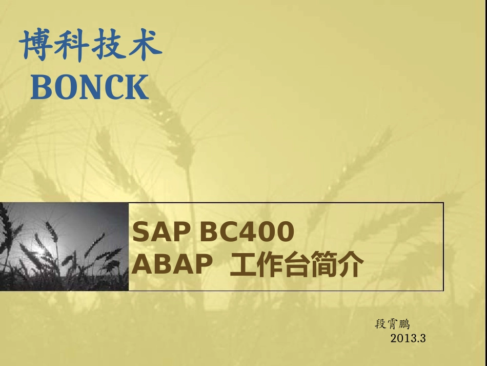 SAP BC400 ABAP 工作台简介_第1页