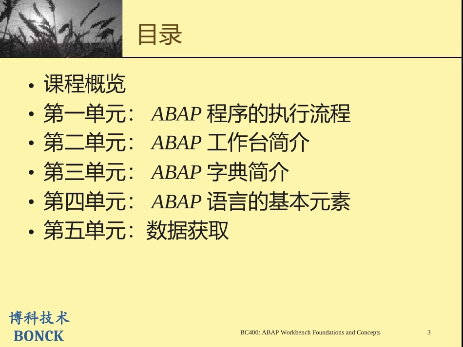 SAP BC400 ABAP 工作台简介_第2页