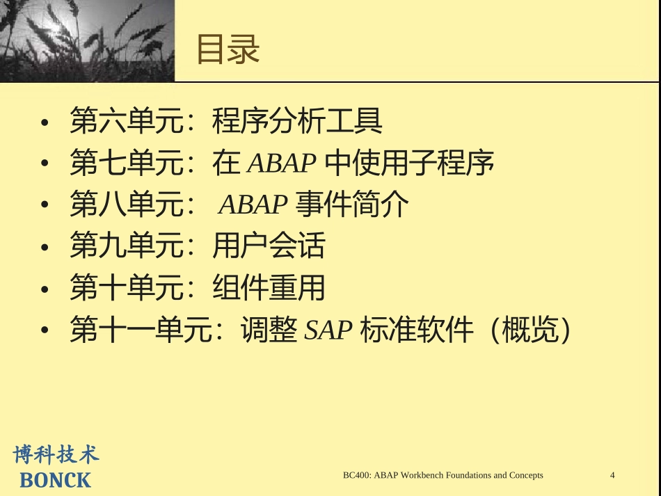 SAP BC400 ABAP 工作台简介_第3页