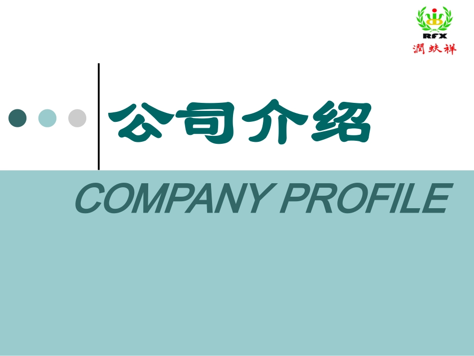 RFX公司介绍Company Profile(减震器油封)_第1页
