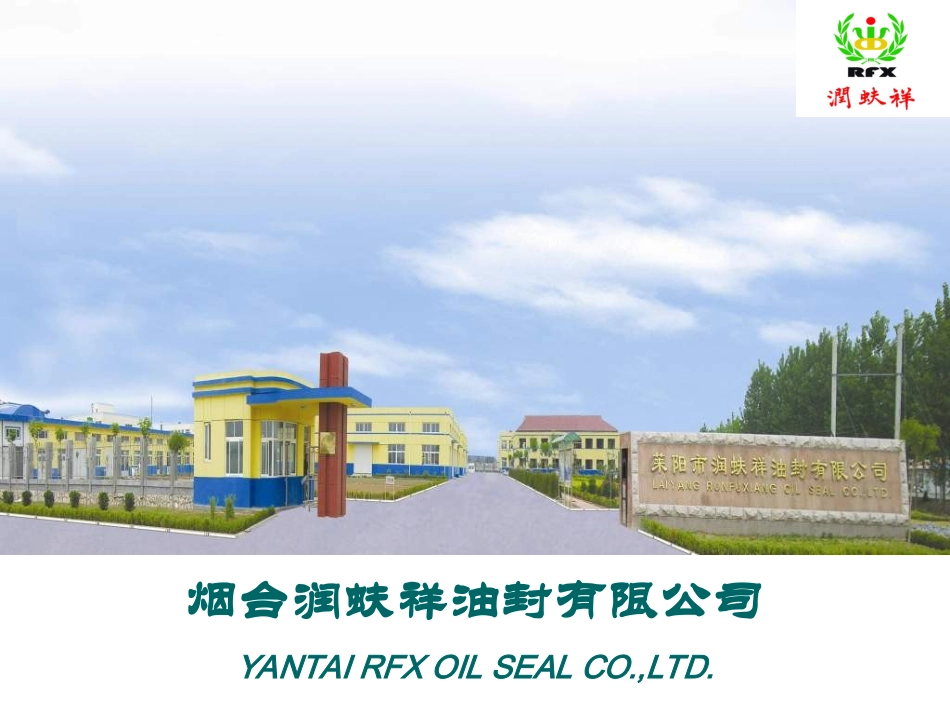 RFX公司介绍Company Profile(减震器油封)_第2页