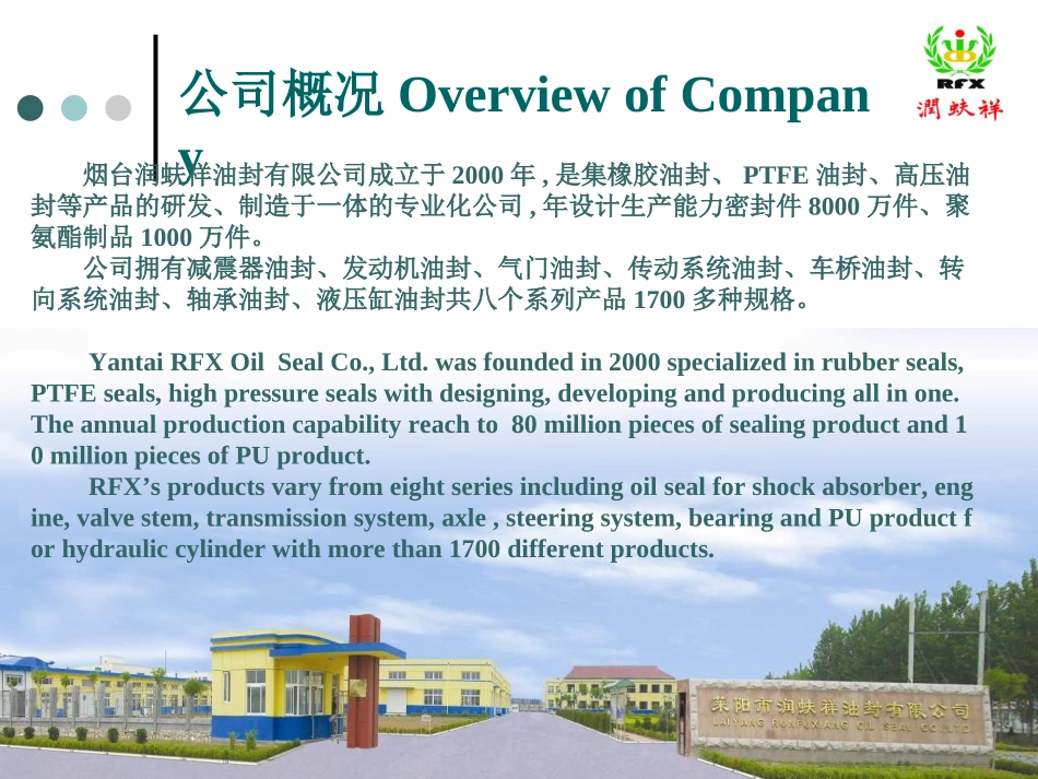 RFX公司介绍Company Profile(减震器油封)_第3页