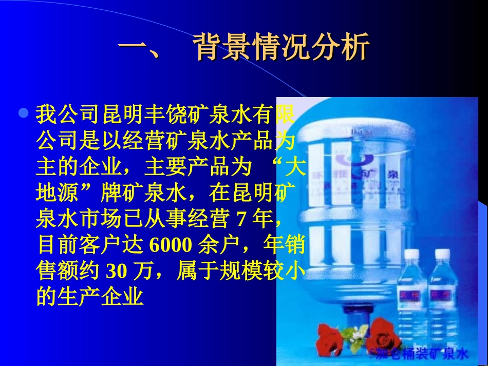 a5矿泉水有限公司企业信息化建设方案+_第2页