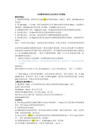 毕赤酵母电转化方法及转化子的筛选