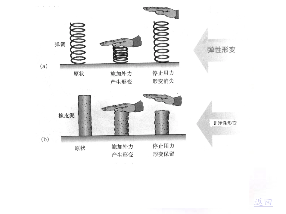 弹力与形变的关系_第3页
