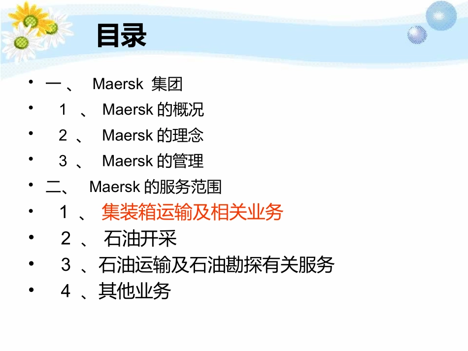 Maersk集装箱_第2页
