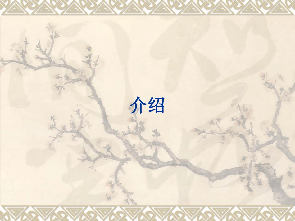 AO／ASIF锁定加压接骨板_第1页