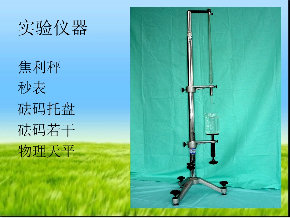 弹簧有效质量的测量_第3页