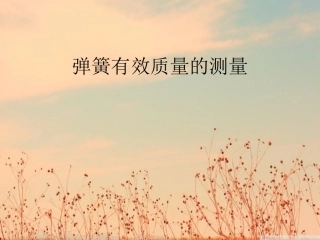 弹簧有效质量的测量