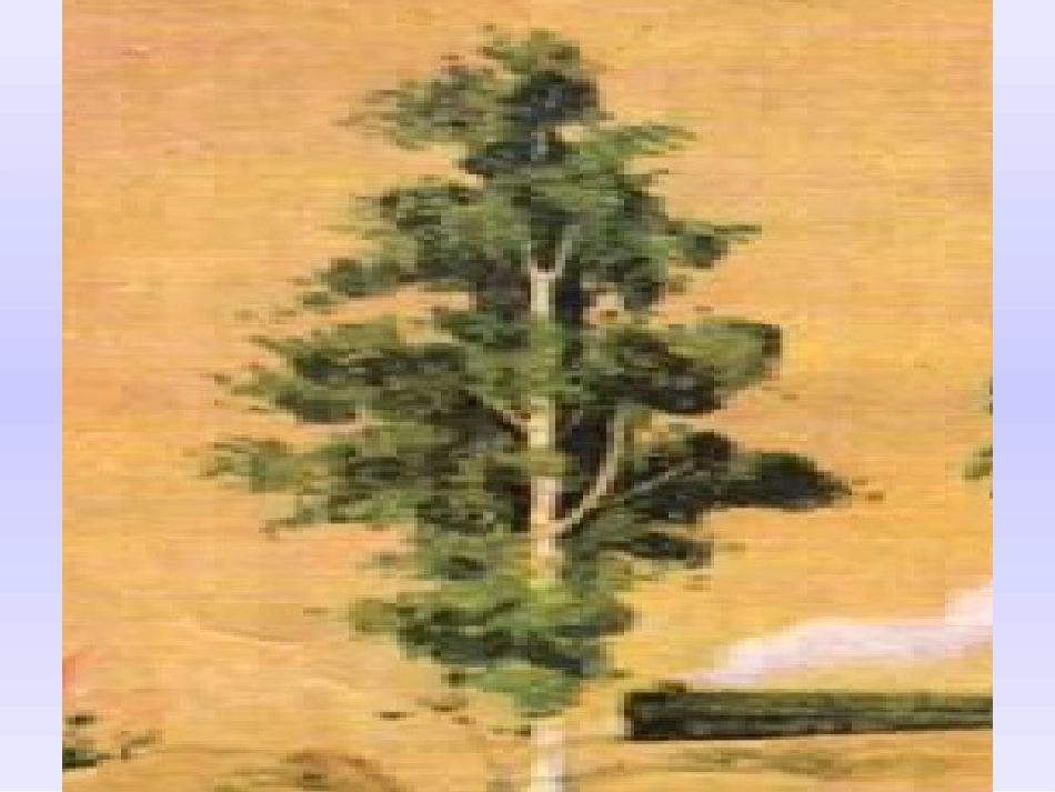 【成品】白杨_第2页