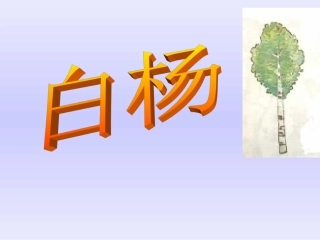 【成品】白杨