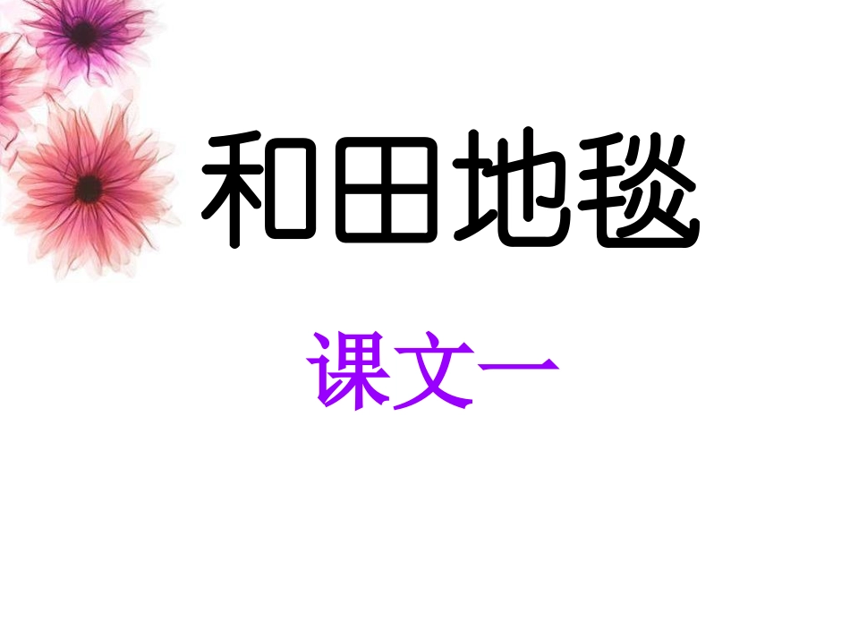 《和田地毯》课文一课件_第1页