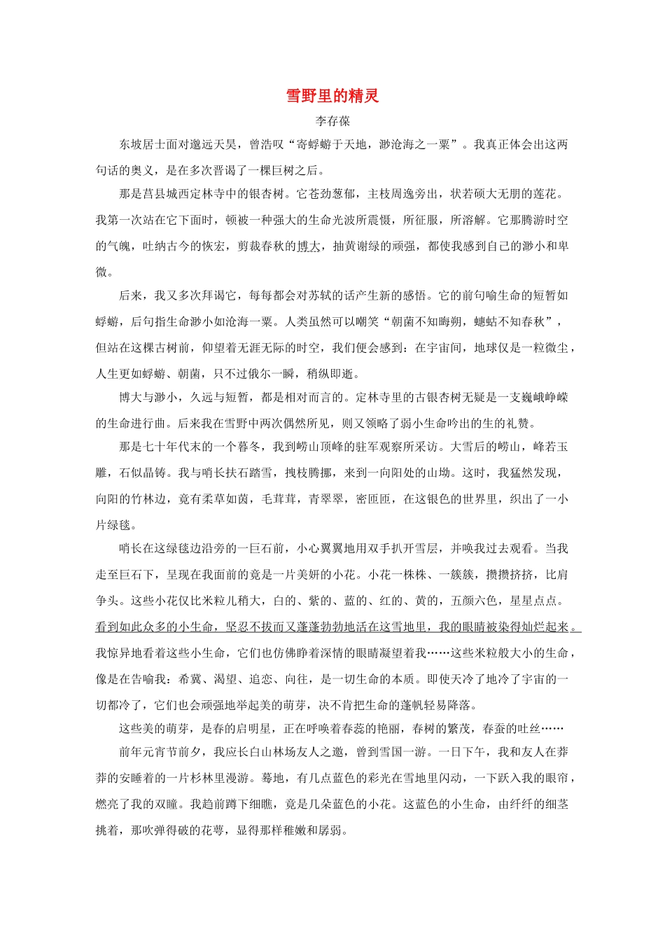 高中语文强档 雪野里的精灵现代文欣赏与练习 _第1页