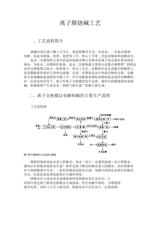 离子膜烧碱工艺(整理过).