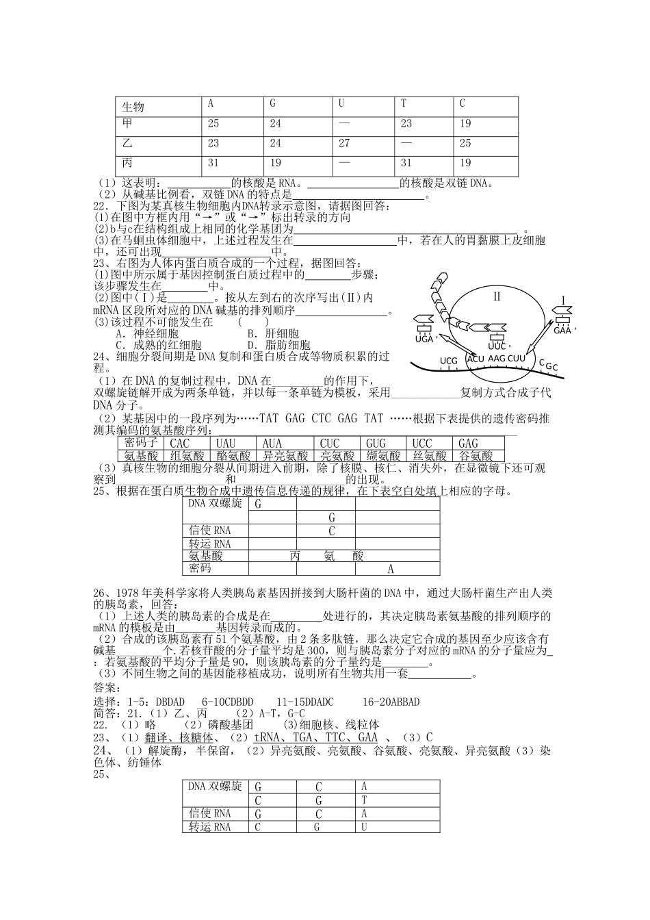 高中生物 41基因指导蛋白质的合成测试 新人教版必修2 _第2页