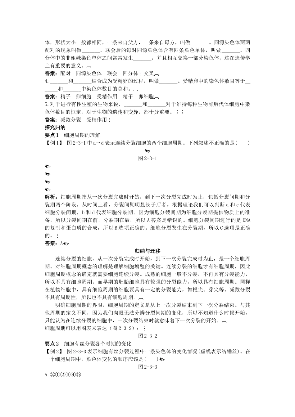 高中生物 23 细胞增殖总复知识搜索与探究归纳 _第2页