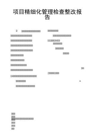 项目精细化管理检查整改报告