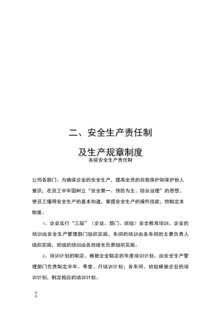 安全生产责任制及生产规章制度