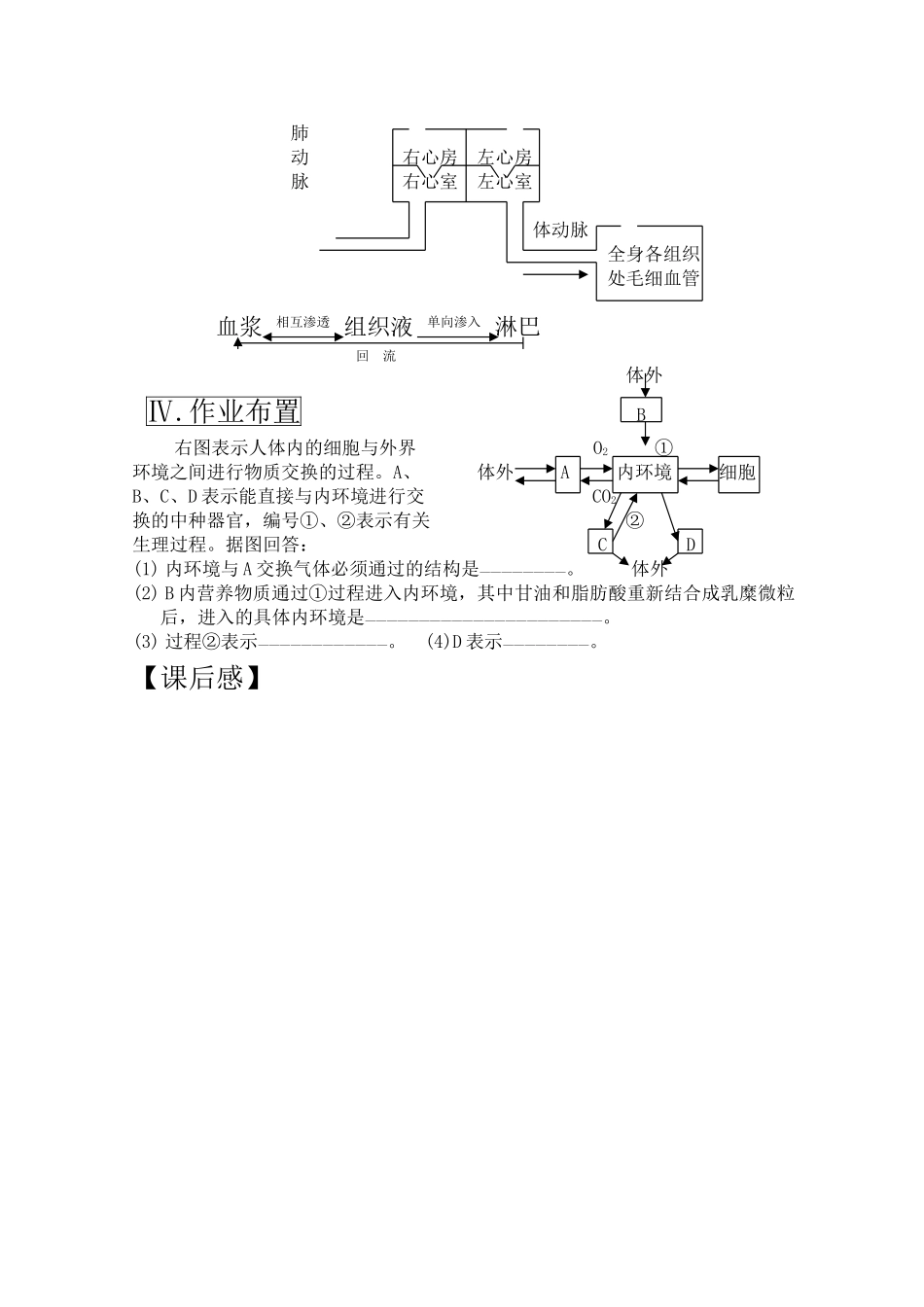 高三生物一轮复习教案18 物质的运输和交换 新人教版 _第3页