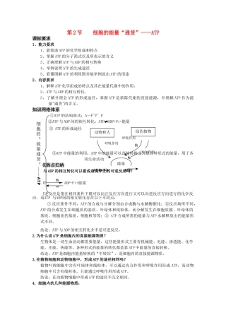 高三生物一轮复习 细胞的能量通货ATP教学案 新人教版必修1 