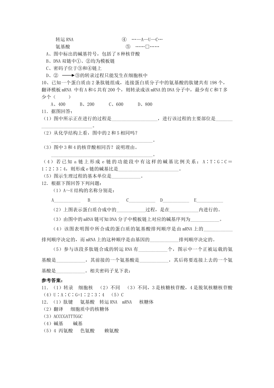 高三生物 基因指导蛋白质的合成同步试题 新人教版 _第2页