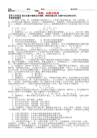 高三物理 一轮复习动量训练课导学案 