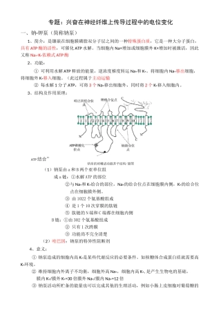 专题兴奋在神经纤维上传导过程中的电位变化
