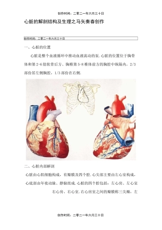 心脏的解剖结构及生理(含彩图)