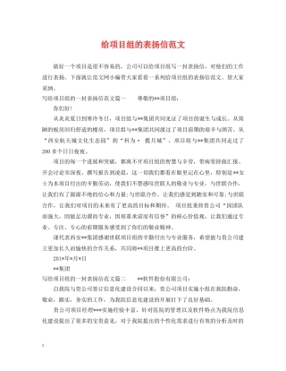 给项目组的表扬信范文 