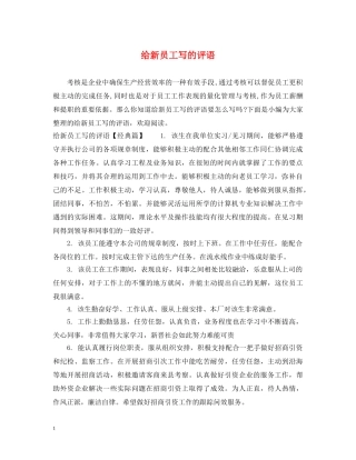 给新员工写的评语 