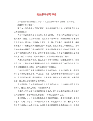 给挂职干部写评语 